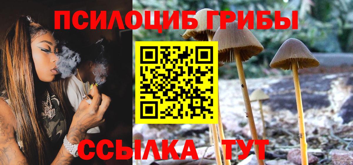 Псилоцибиновые грибы Magic Shrooms  Вход с VPN  Гусь-Хрустальный 