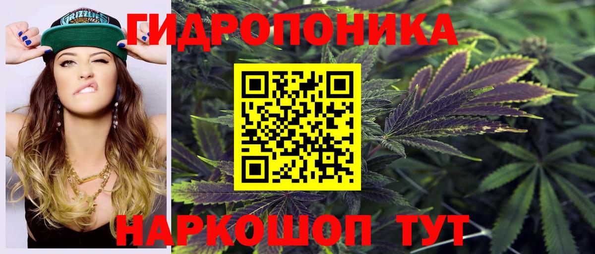 Бошки Шишки ГИДРОПОН Гусь-Хрустальный